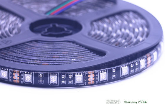 LEIDEN van SMD 5050 12V RGB Strooklicht, LEIDENE Waterdichte Kleuren Veranderende Band 60led